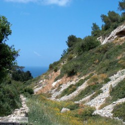 On the slopes of Mount Carmel...