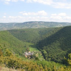 Chartreuse de Nonenque